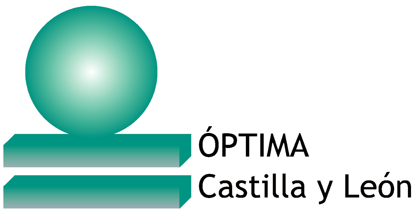 Focyl distintivo Óptima Castilla y León