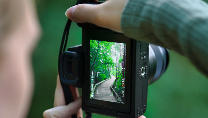 Técnicas creativas avanzadas en fotografía digital