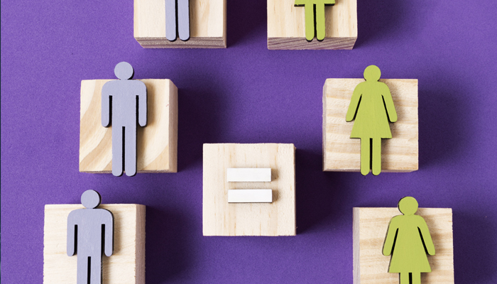 Curso de Impulso de la igualdad de oportunidades entre mujeres y hombres (en Valladolid)